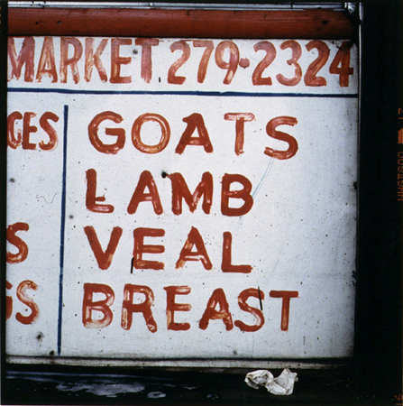 leonard-goats_lamb