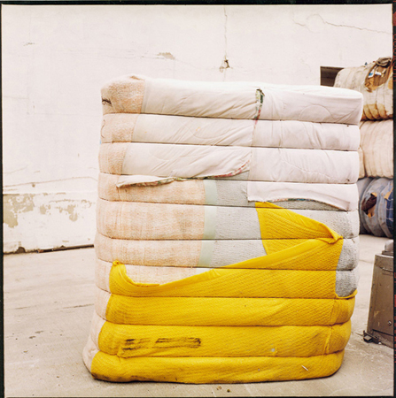 leonard-yellow_pink