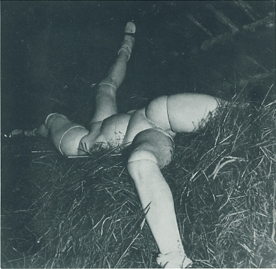 bellmer-hayloft