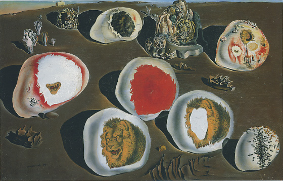 dali-accomodations