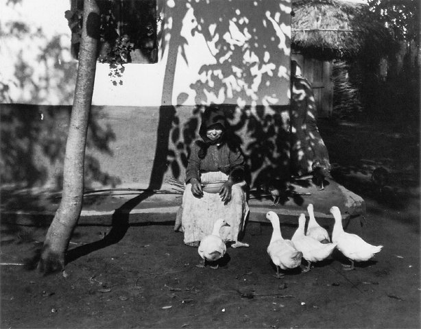 kertesz-1924-feeding#B0084