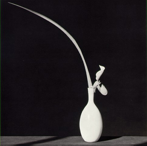 mapplethorpe-1982-wh#B0135