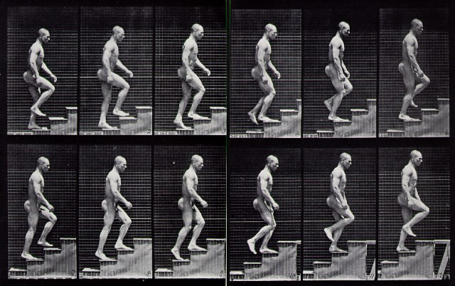 muybridge-1884-ascen#B0144